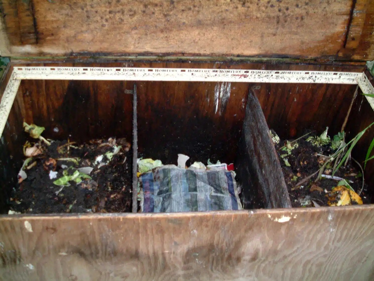 Worm Farming For Profit (In Your Backyard or Garden)