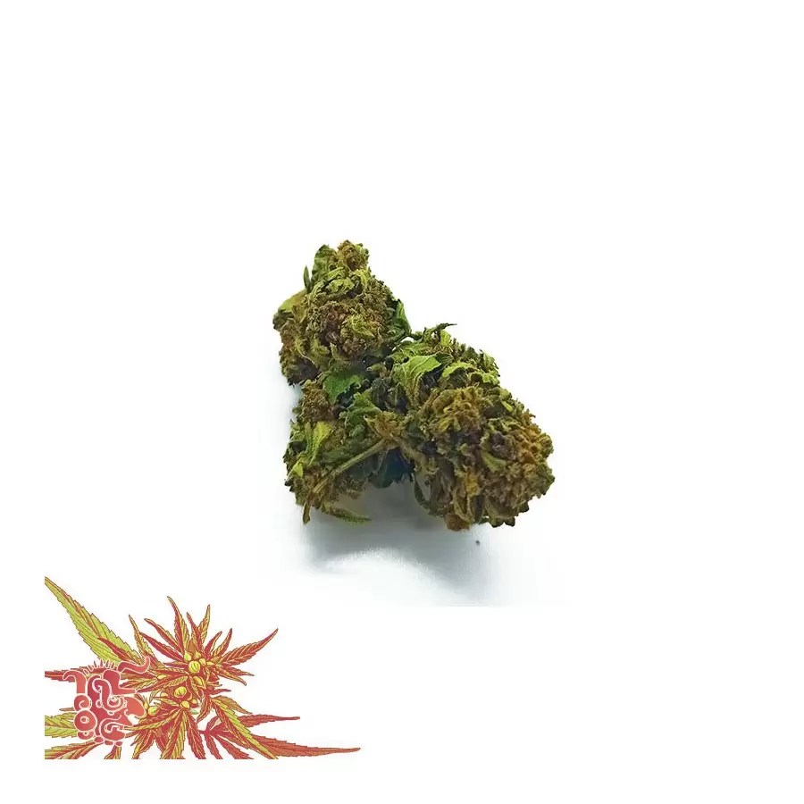 CBD BIO Ferme de Pigerolles