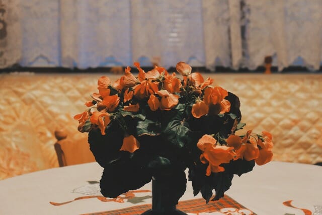How To Make Cut Flowers Last Longer In The Vase