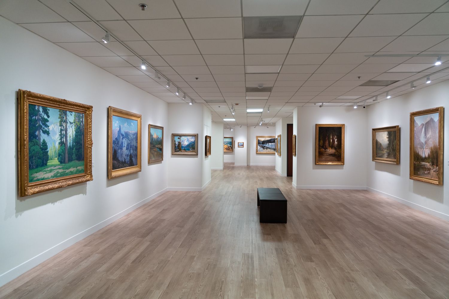 Jack and Shanaz Langson Institute and Museum of California Art at