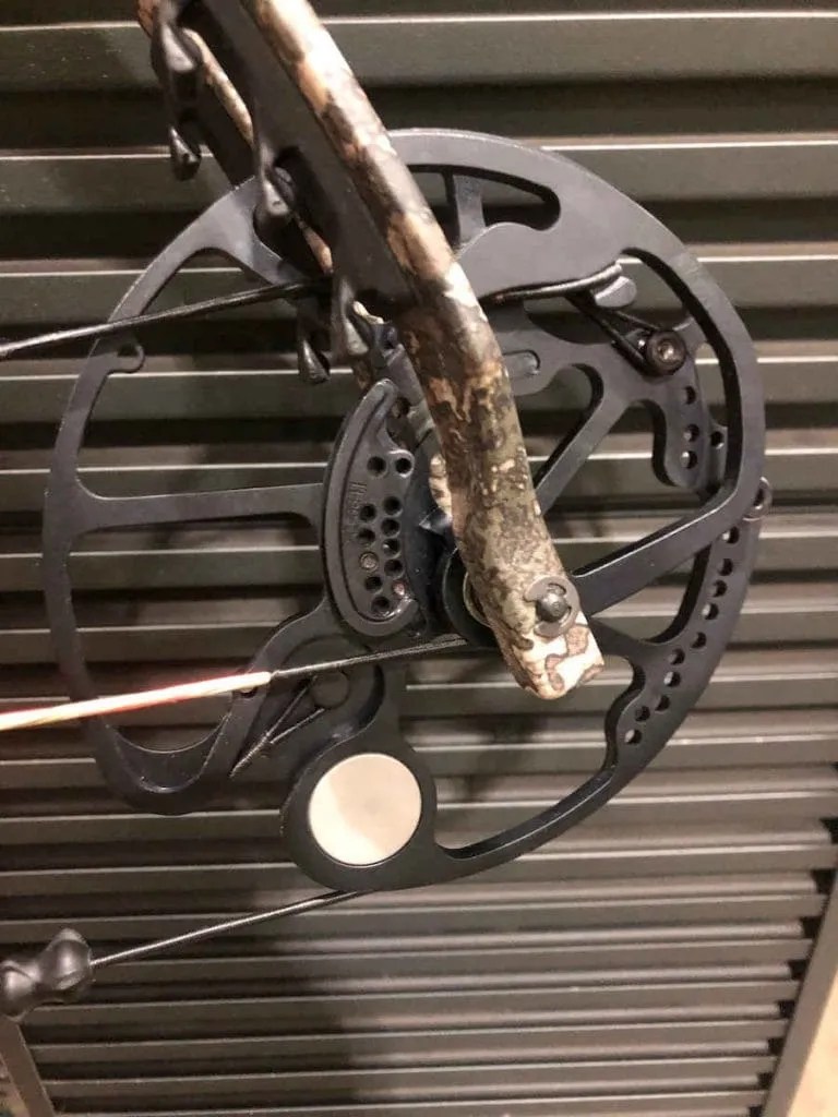 Bear Paradox HandsOn Review [currentyear] BowAddicted