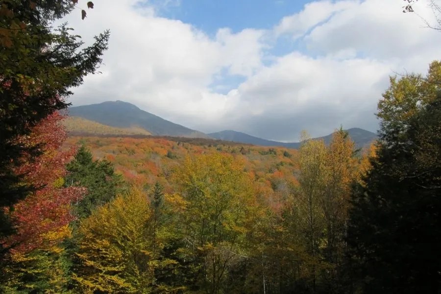 State By State Hunting Data in the USA Hunting Statistics 2020 BowAddicted