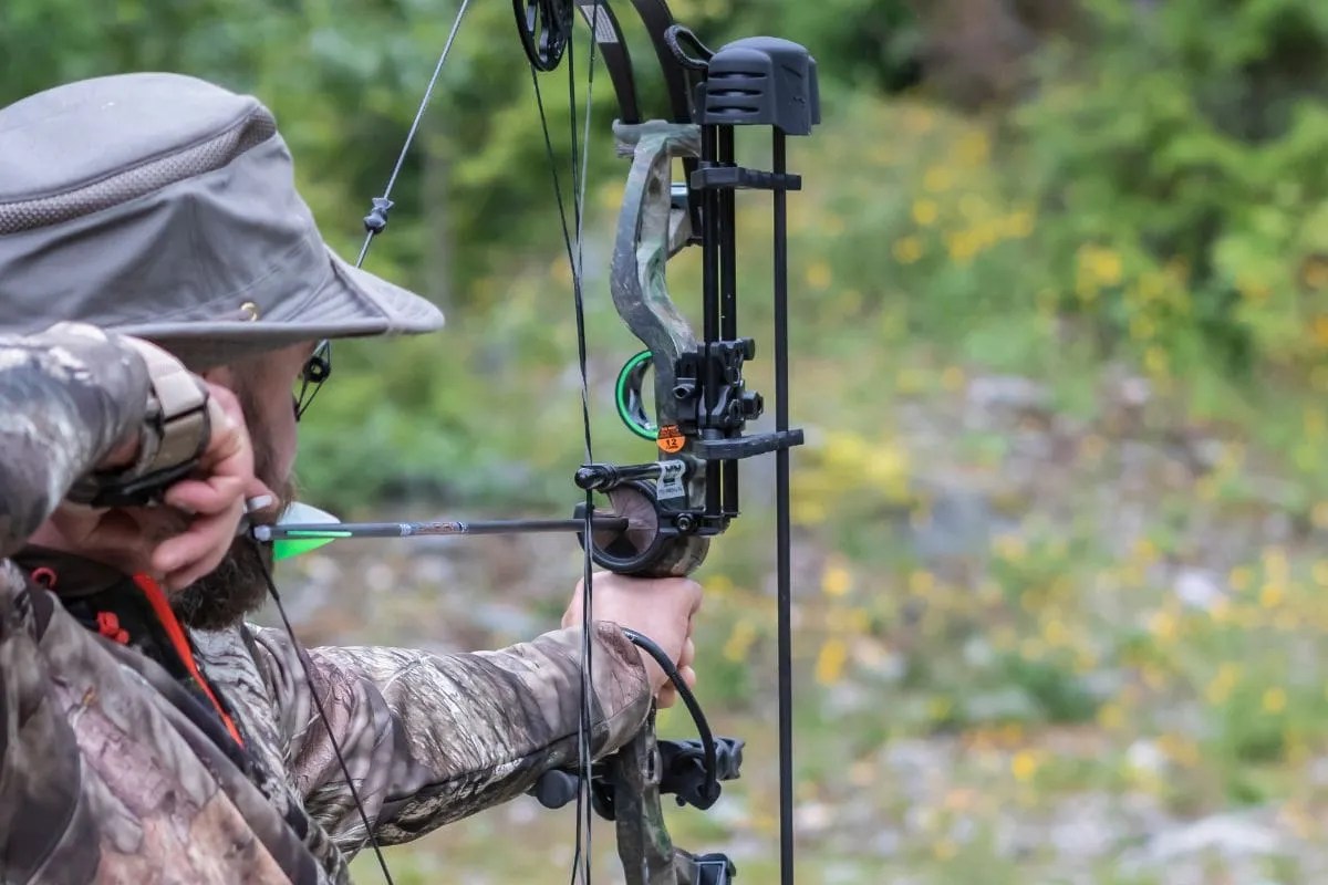 Can You Hunt With A 50lb Bow? BowAddicted