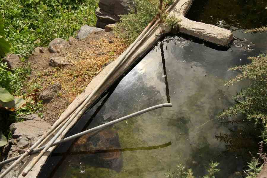 Will Deer Drink Water From a Trough? BowAddicted