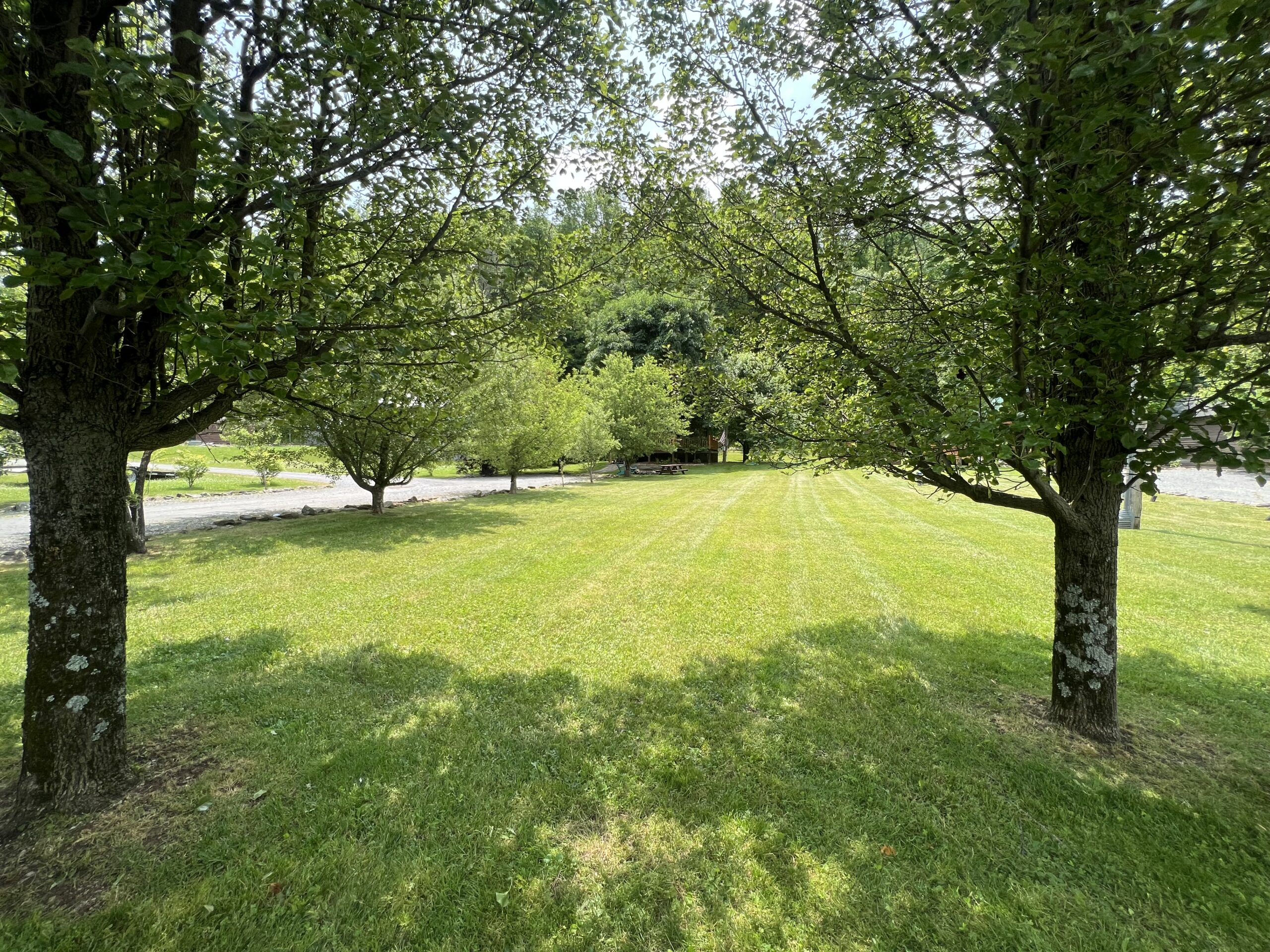 Rent a Cabin in Elkins, WV Bowden Cabins