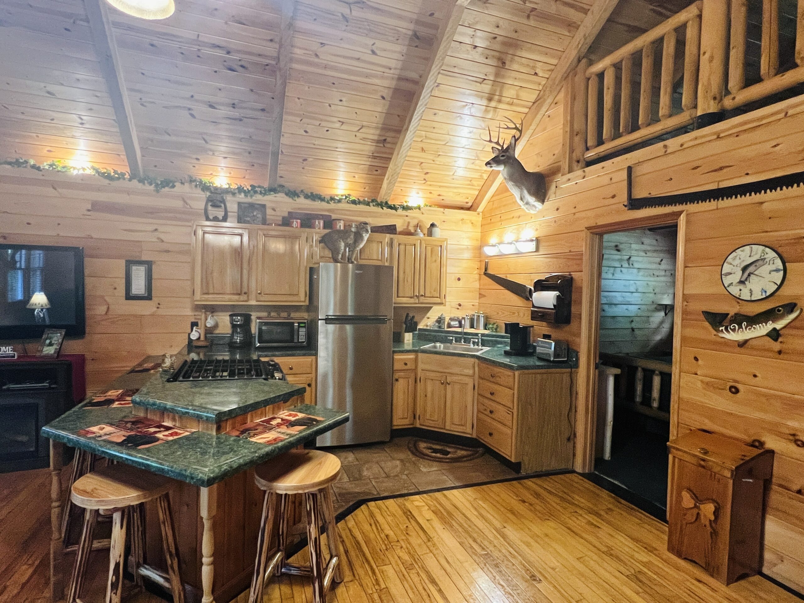 Elkins Wv Cabins For Rent at Scott Simmons blog