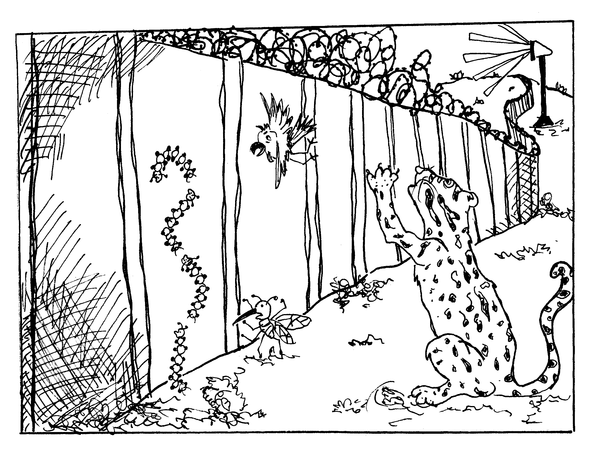 The border wall and its impact on the environment The Bowdoin Orient