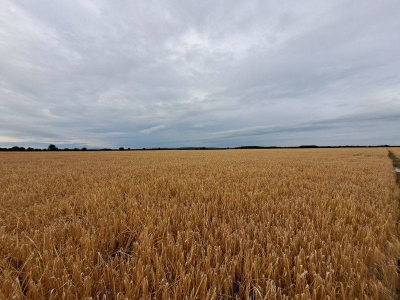 Poynton Green, Shrewsbury Farm / Land For Sale Bowen