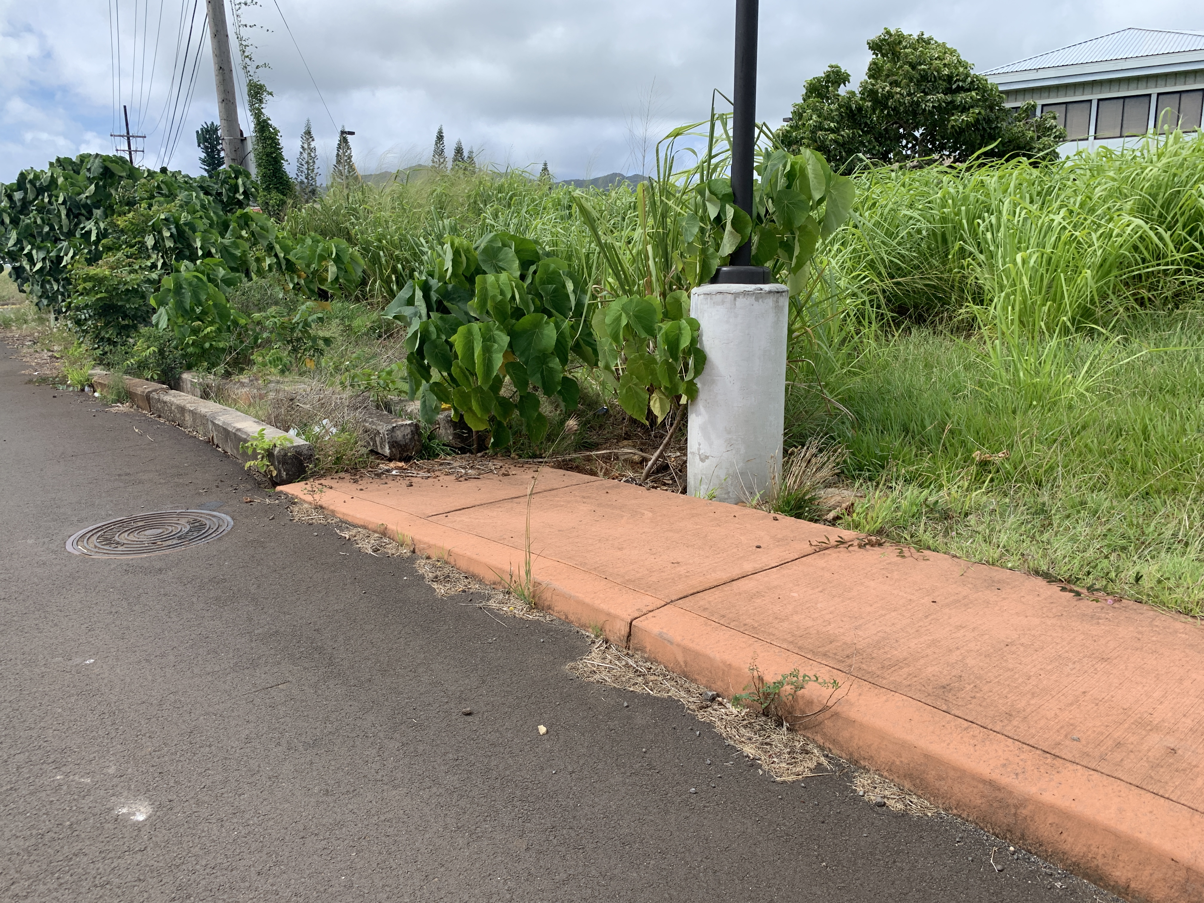 Pua Loke Affordable Housing Bow Engineering Civil and Environmental