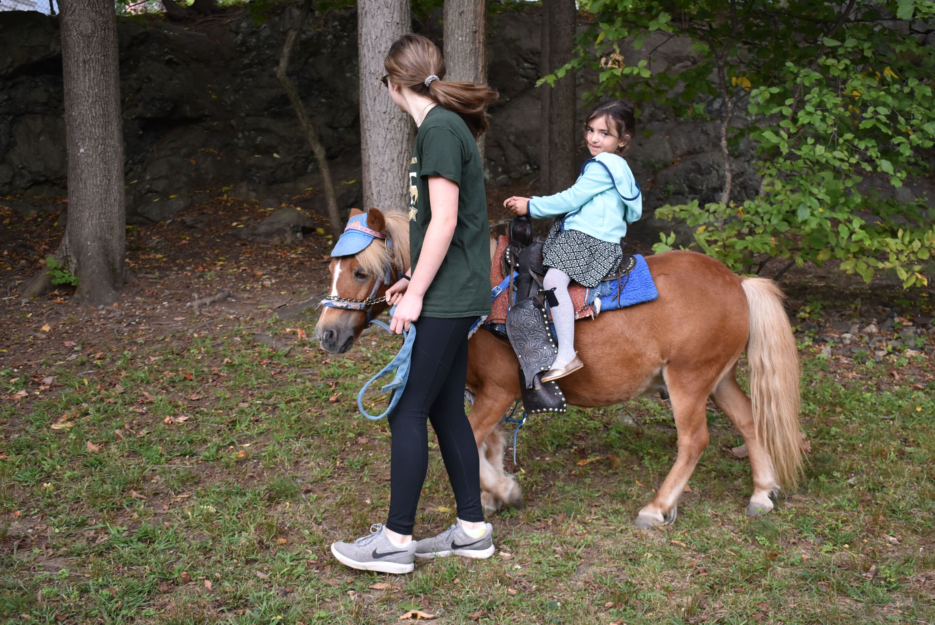 DSC_0466 BOWES Real Estate Real Living Blog