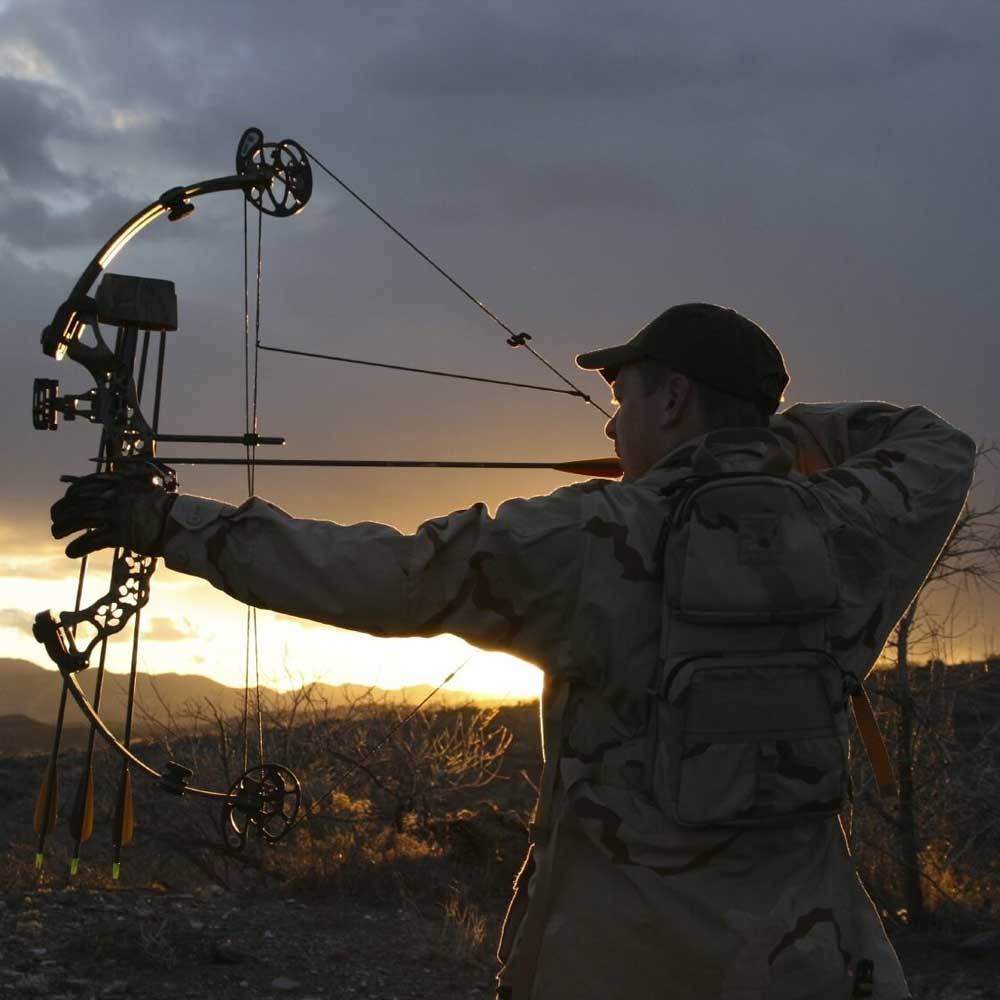 Best Compound Bows For Target Shooting And Hunting