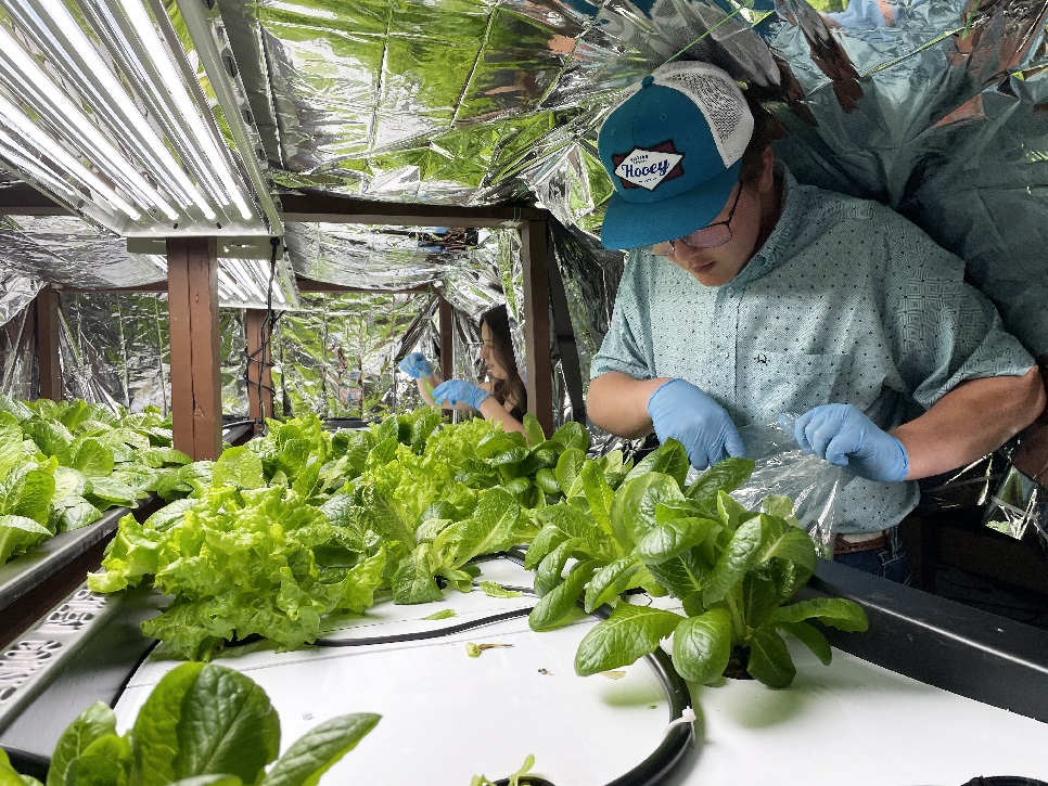 Environmental Student Action Challenge Bow Habitat Station