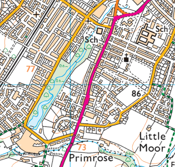 CLITHEROE A SURPRISE IN PRIMROSE NATURE RESERVE. bowlandclimber