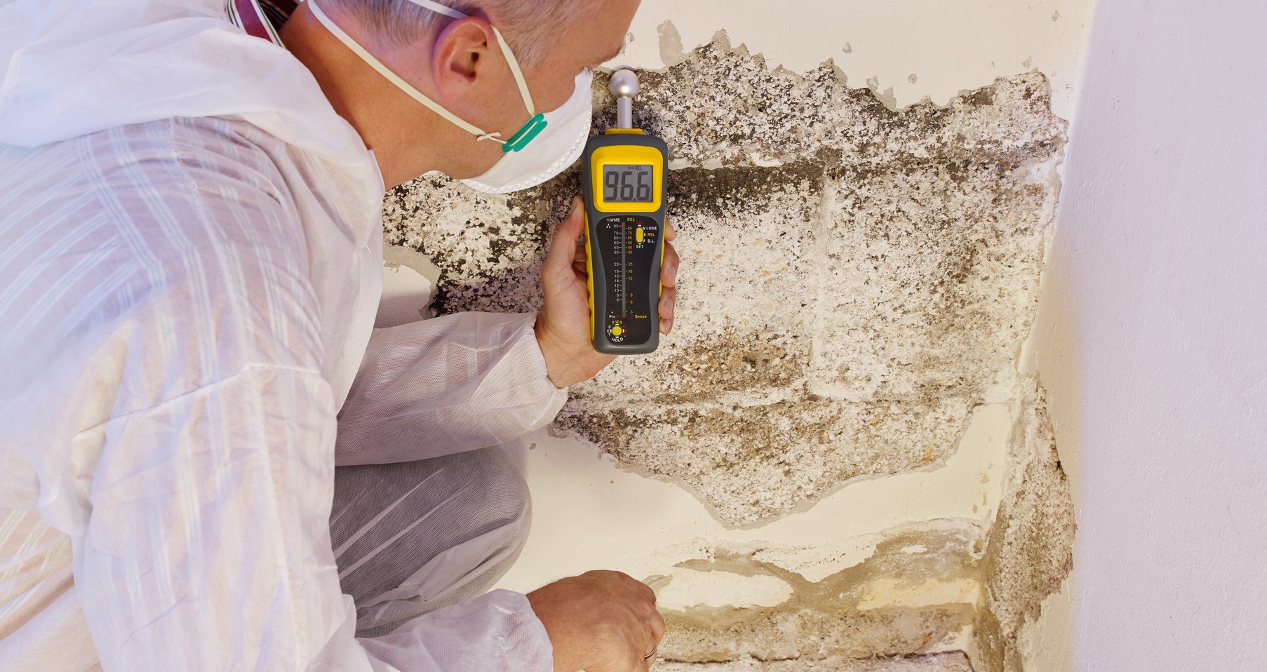 Mold Assessments and Protocols Florida Mold Assessor
