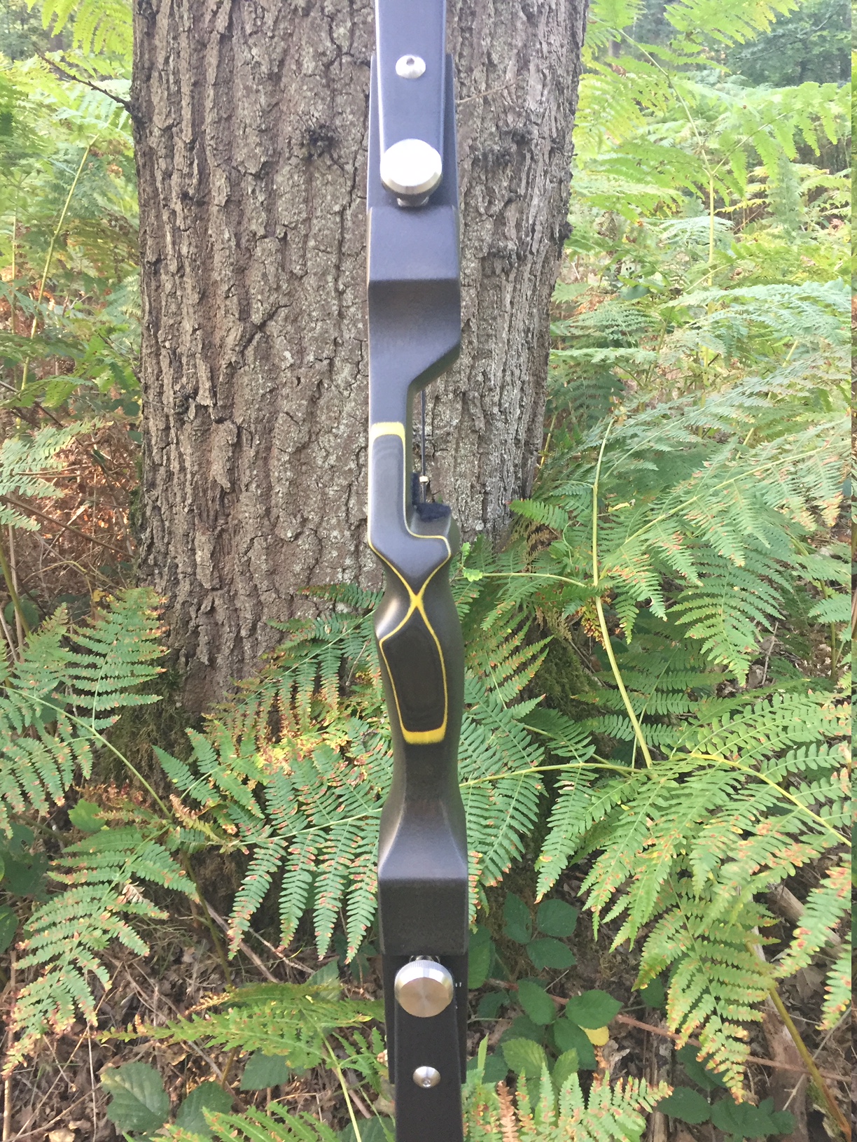 Bow Reviews S & H Icaro ILF Riser