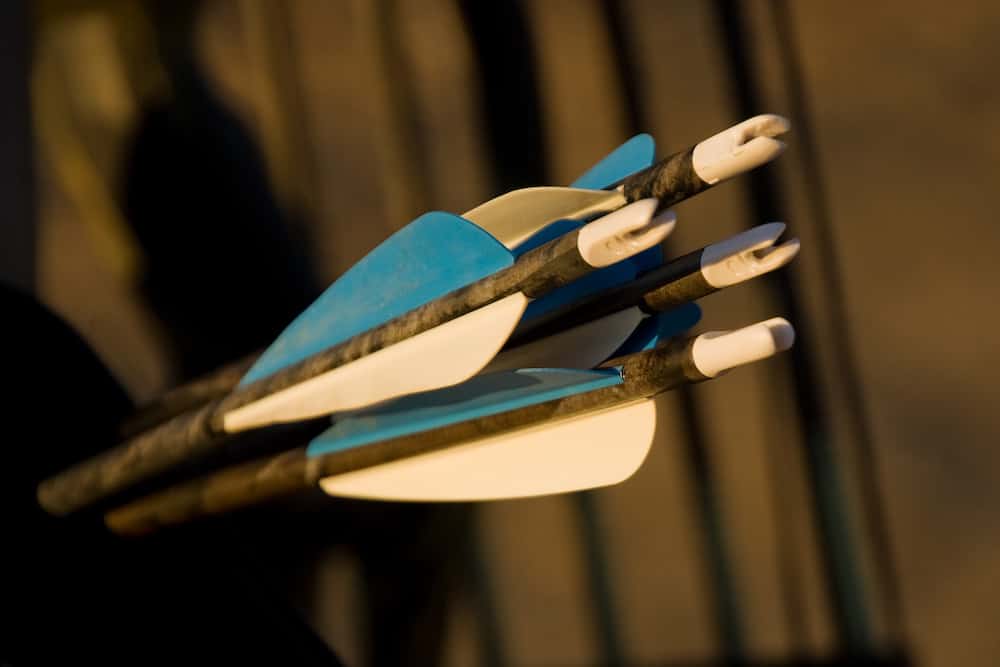 Best Arrows for Compound Bows in 2022 Complete Reviews with