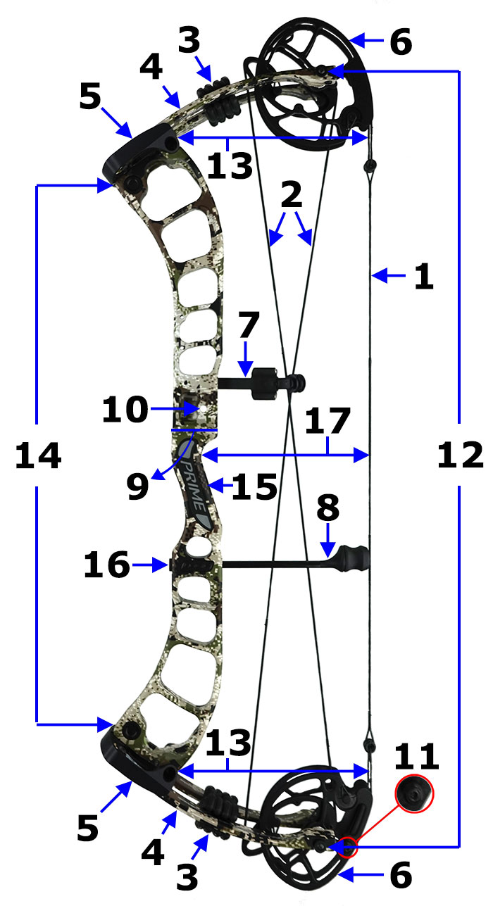 Parts of a Bow Bow Shop Bible