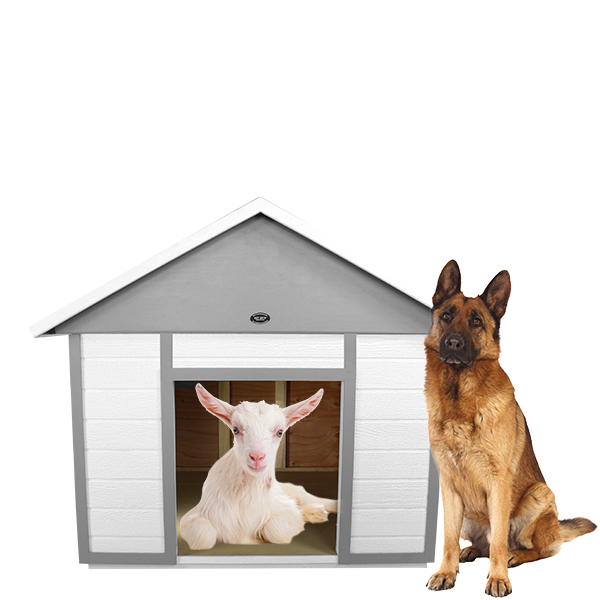 Bow Wow Dog Houses Large Wood Dog Houses Made In The USA
