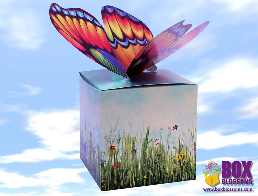 Butterfly Mini Gift Box Box Blossoms