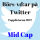 Börs-vd:ar på Twitter, topplistorna 2017: Mid Cap
