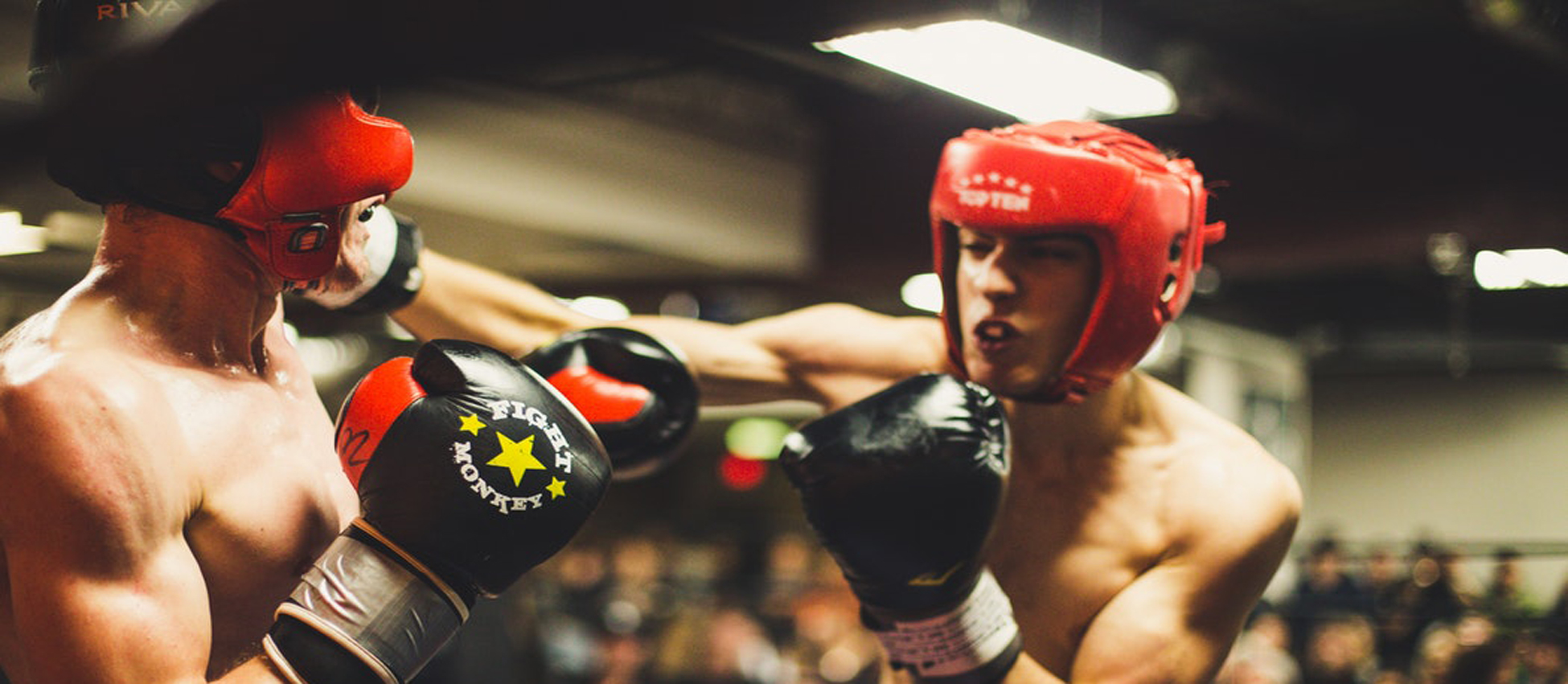 BOXE Un site utilisant WordPress
