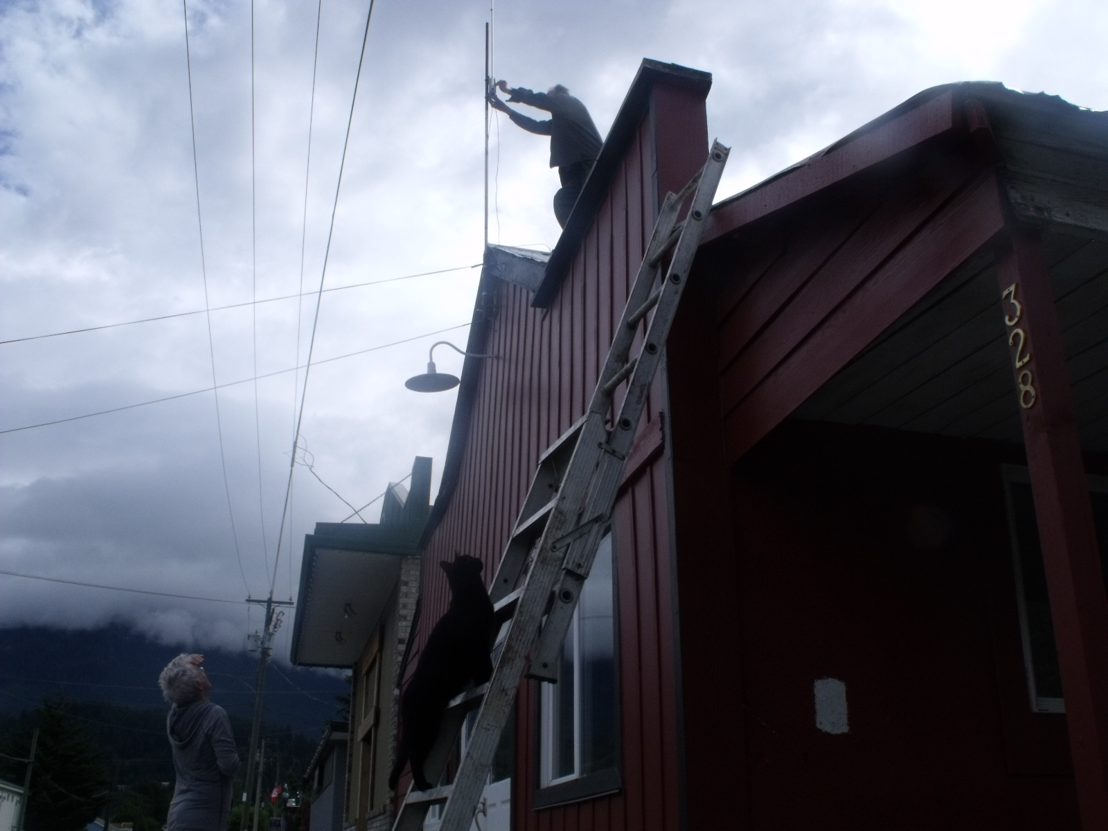 Garbanzo Ascends (A Story in 15 Pictures) AUTICULTURE