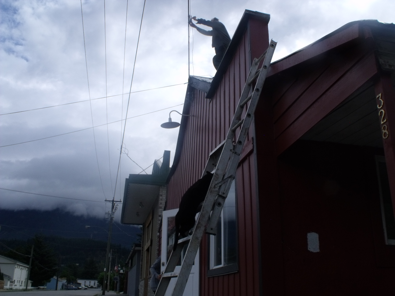 Garbanzo Ascends (A Story in 15 Pictures) AUTICULTURE