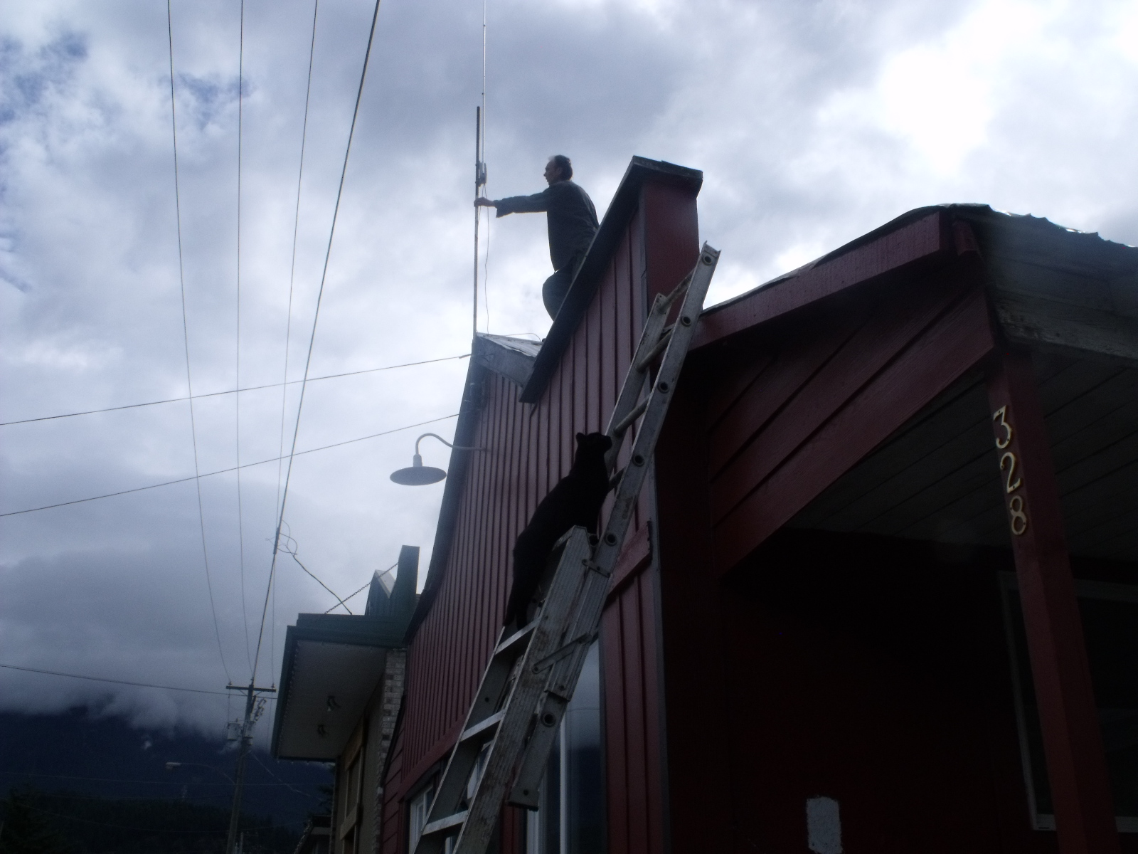 Garbanzo Ascends (A Story in 15 Pictures) AUTICULTURE