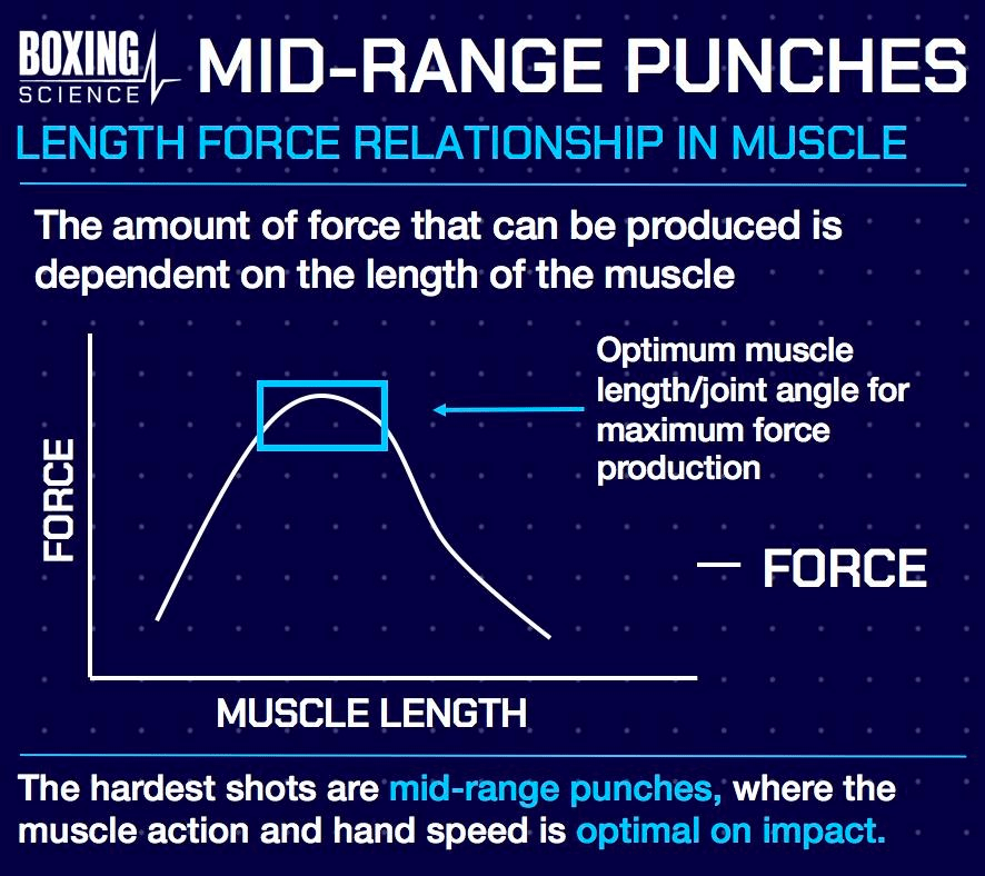 How to Improve Your Hook Boxing Science