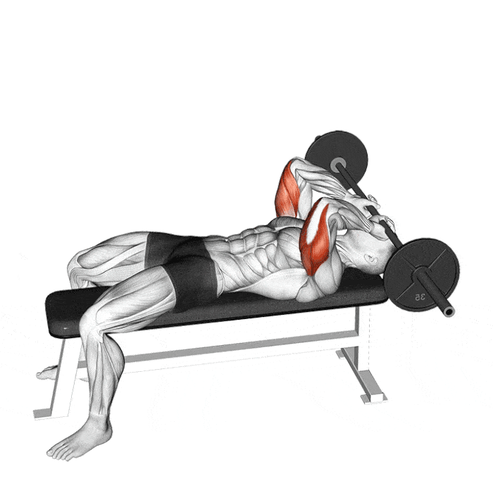 RutinowEncontrá y aprende cualquier ejercicio