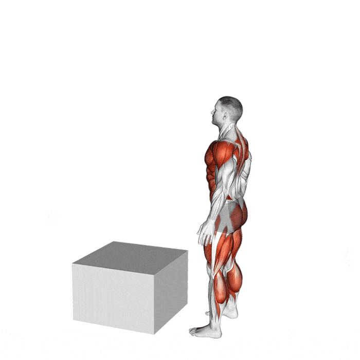 Les 6 Meilleurs Exercices pour Blinder vos Mollets