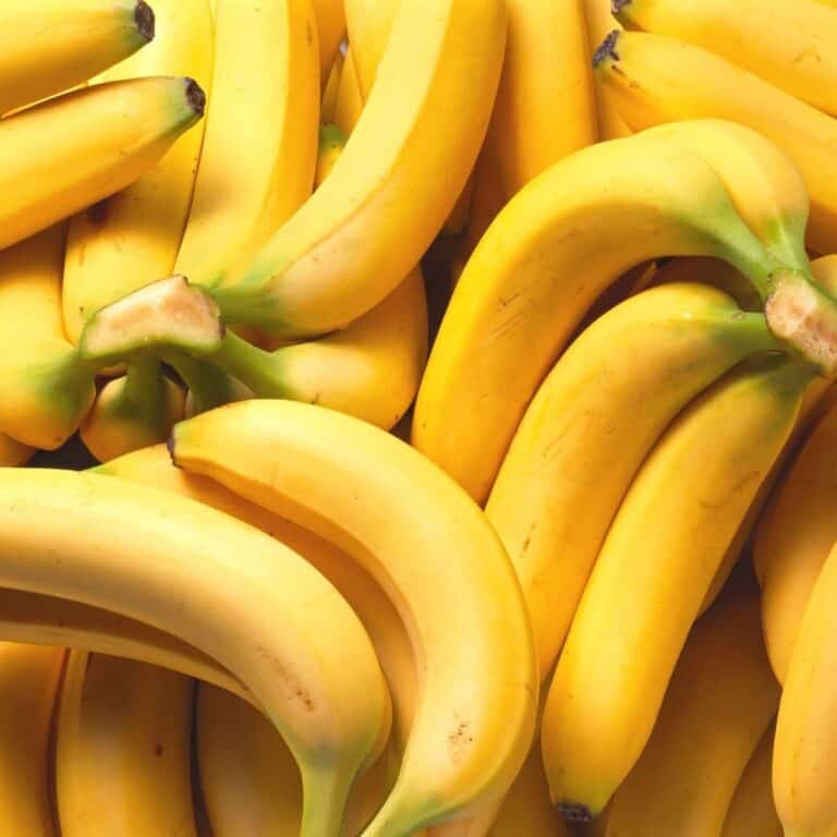 10+ Best Banana Puns Box of Puns