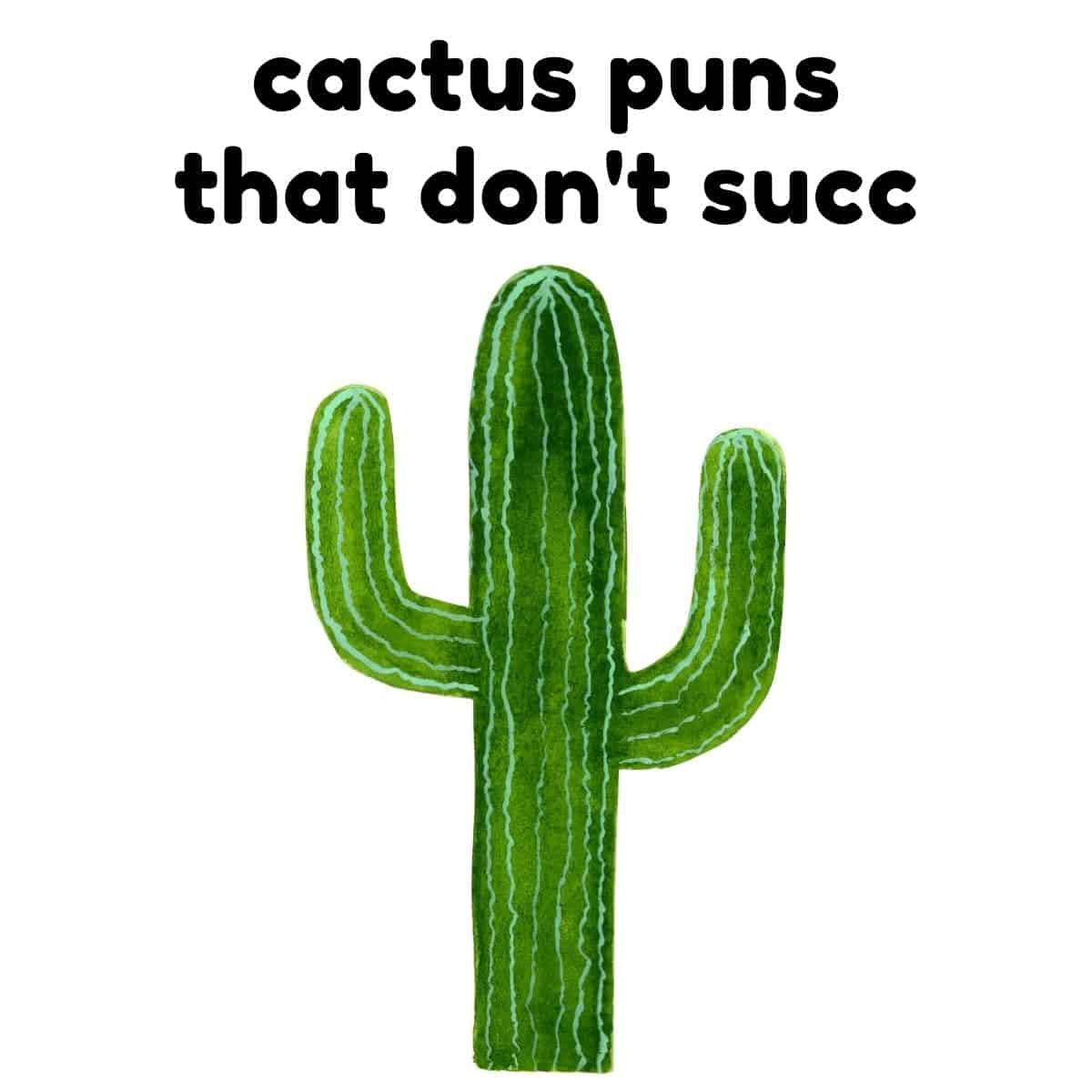 63 Cactus Puns That Are Prickling Funny (It Would Succ to Miss Them