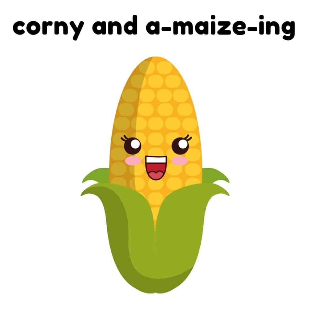30+ Amaizeing Corn Puns Box of Puns