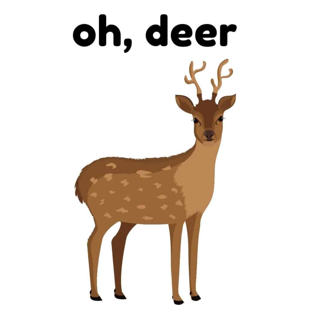 45+ Deer Puns That Are Doe Funny Box of Puns