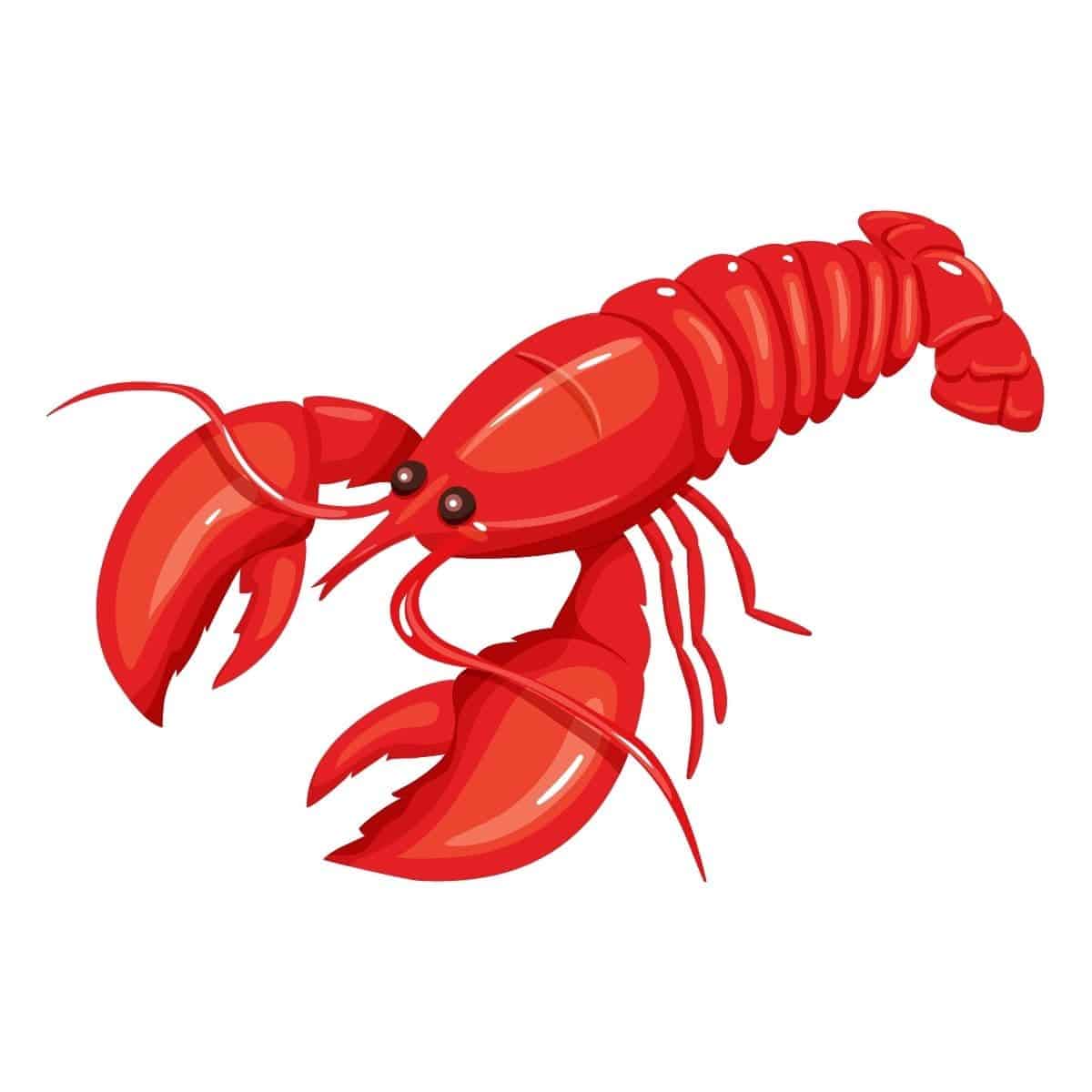 40+ Best Lobster Puns That Are Shellarious Box of Puns