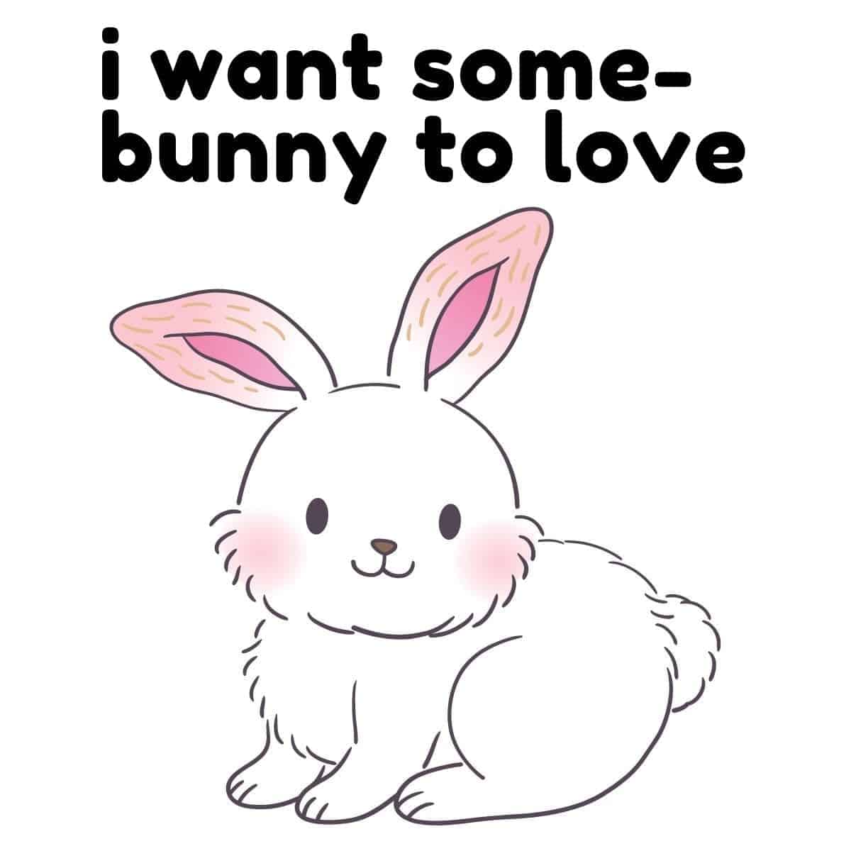 35 Funniest Rabbit Puns Box of Puns