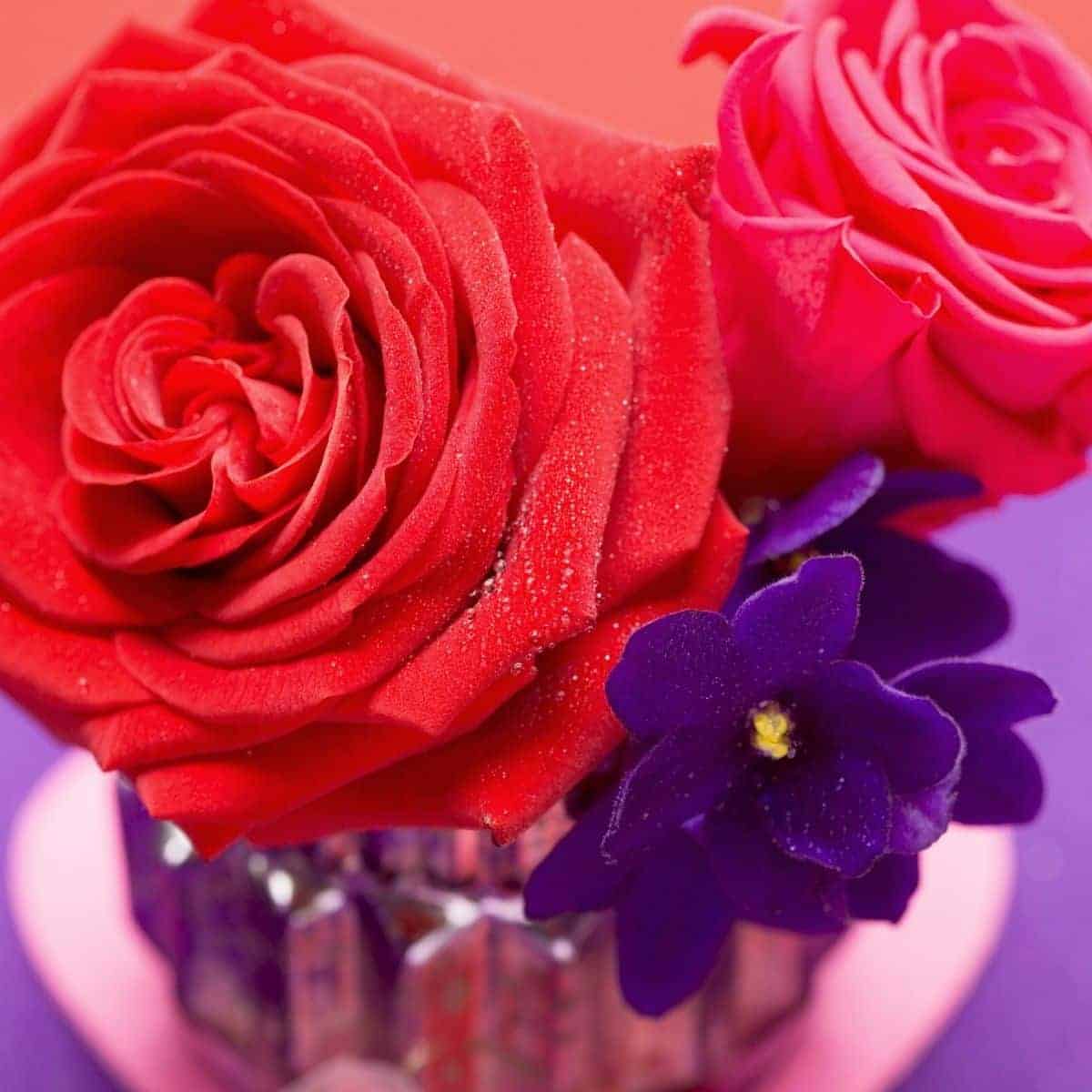 50+ Best Roses Are Red, Violets Are Blue Jokes Box of Puns