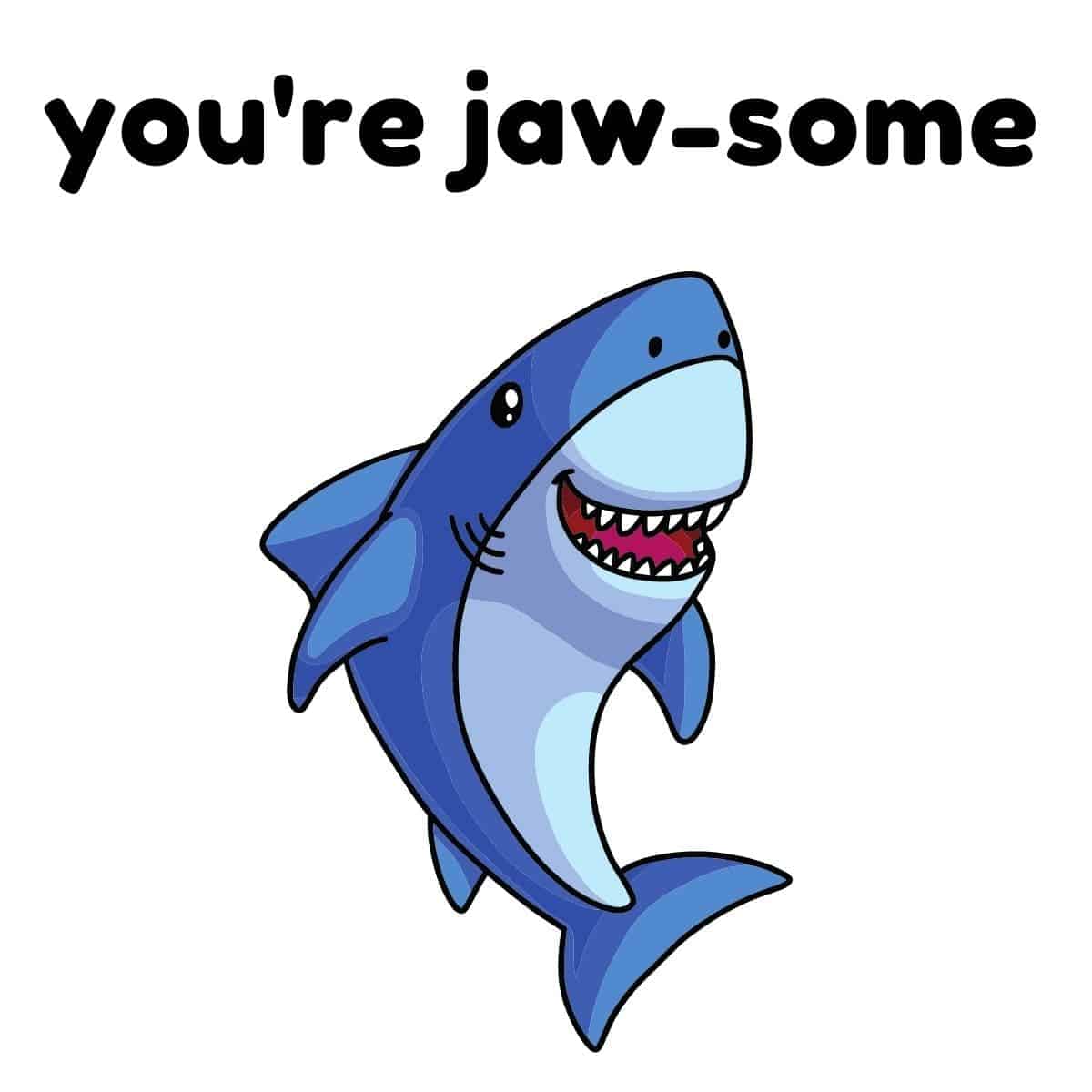 45+ Fintastic Shark Puns Box of Puns