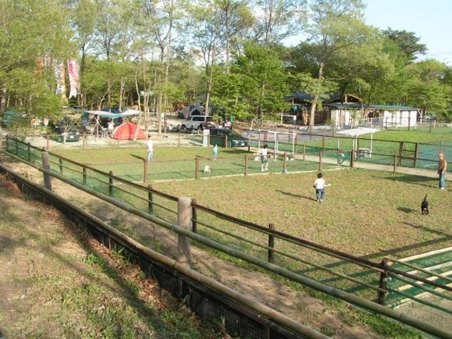 ドッグラン併設の北関東近郊キャンプ場13選【茨城・群馬・栃木編】 WEBキャンプ場ガイドブックCAMPWEB