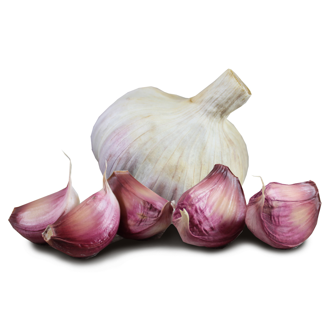 Kingsland Wight Seed x 4 Bulbs The Garlic Farm UK Isle of Wight