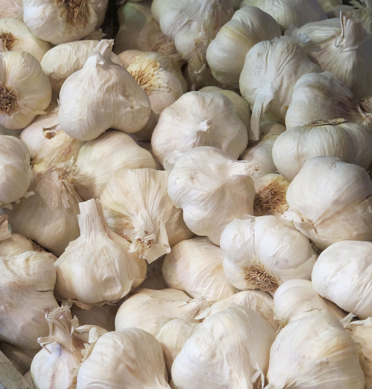 IMG_1270.jpg Image The Garlic Farm for all things garlic