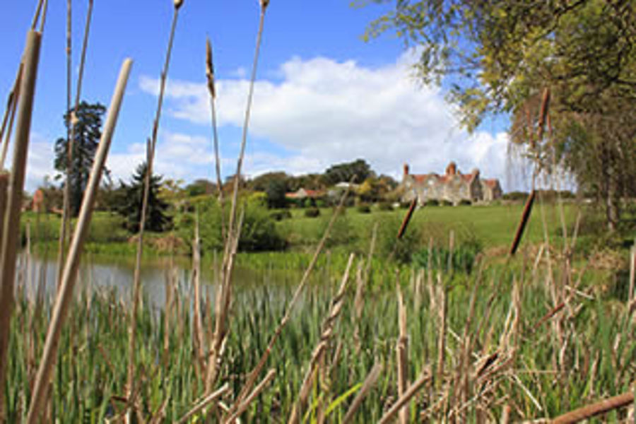 Rhodedenrons 1 Images The Barton Estate, Isle of Wight