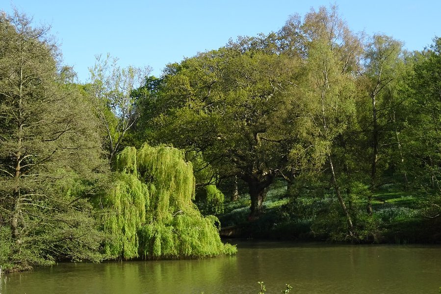 Barton Manor on a spring morning Images The Barton Estate, Isle