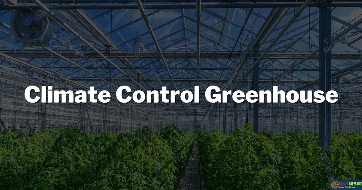 Climate Control Greenhouse Improve The Growth Of Boycott Cop28