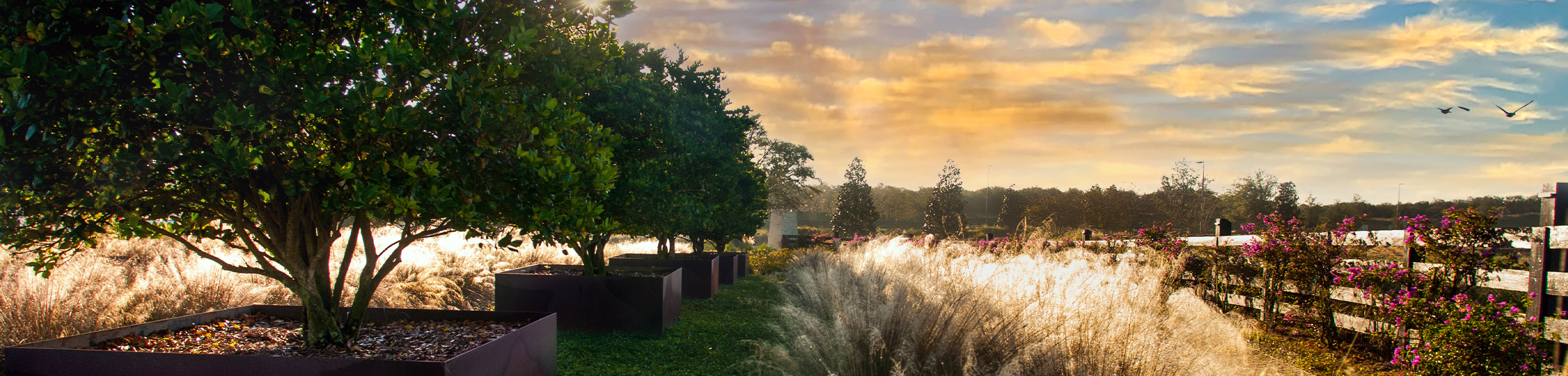 About Boyd Development Corporation