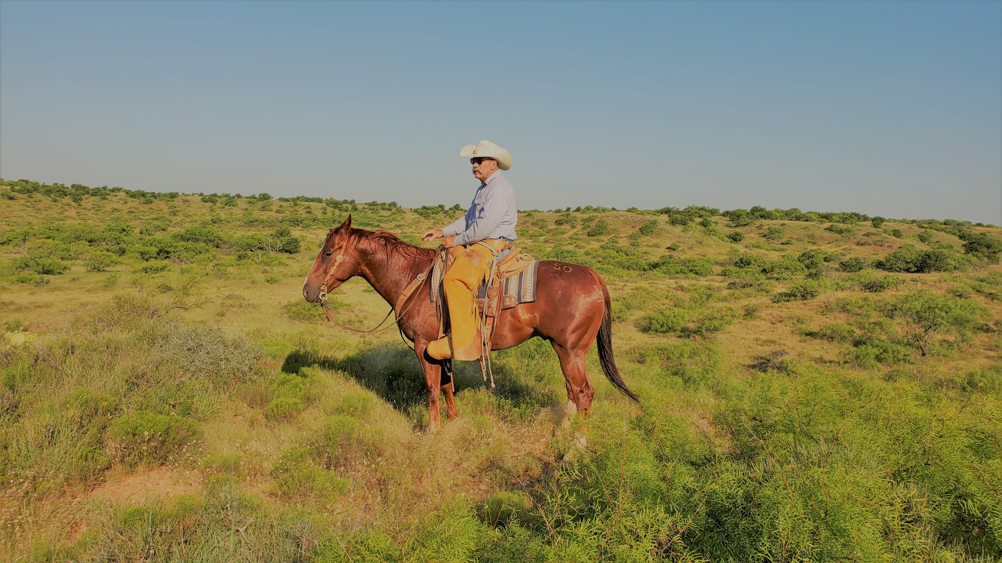  Boyd Ranch, LLC Commercial Cattle, Ranch & Cow Horses