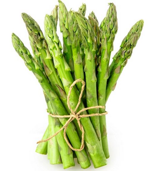 Care of Fall Mums Boyert's Greenhouse & Farm