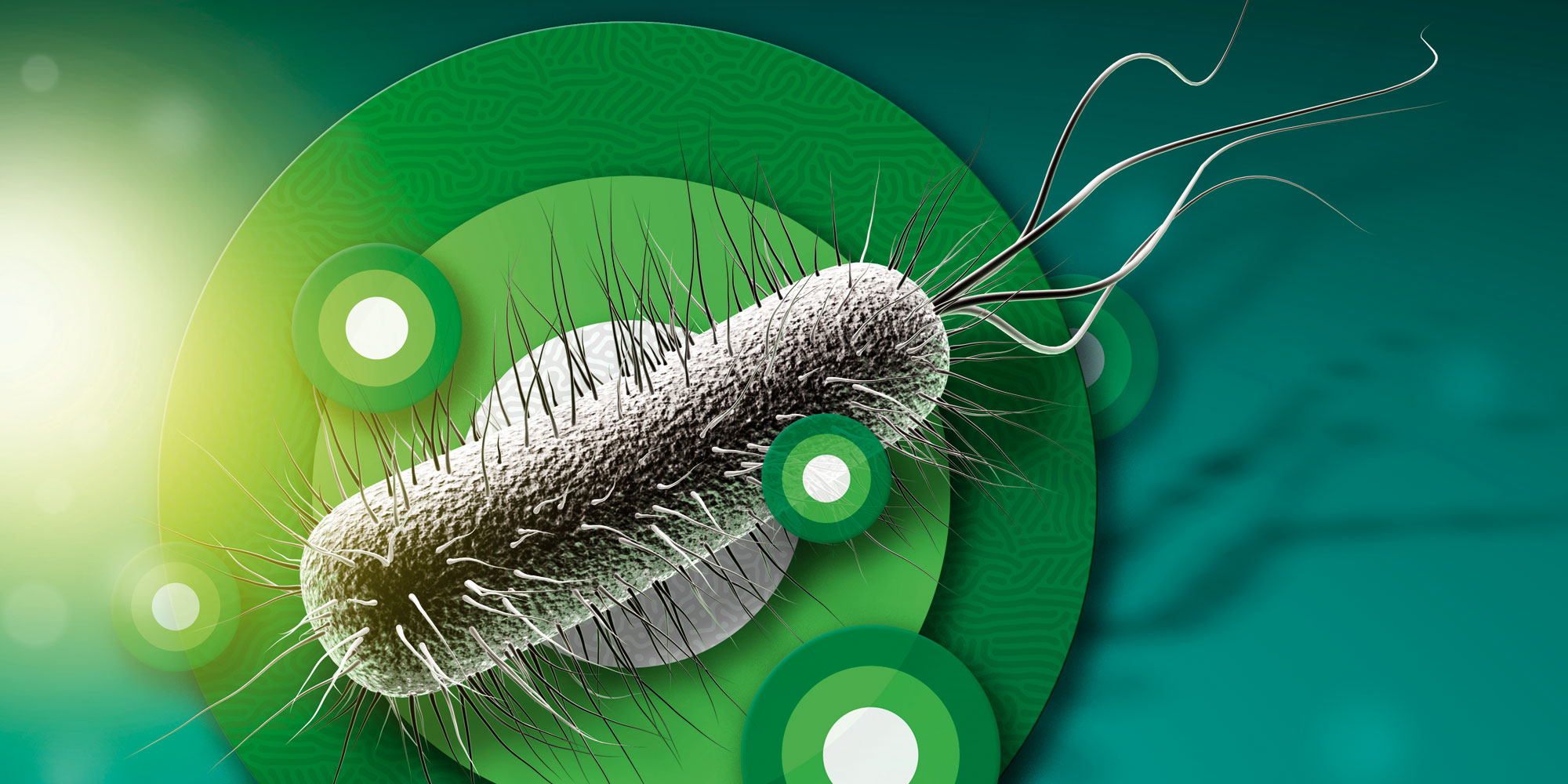 Limiting the use of quinolone antibiotics bpacnz