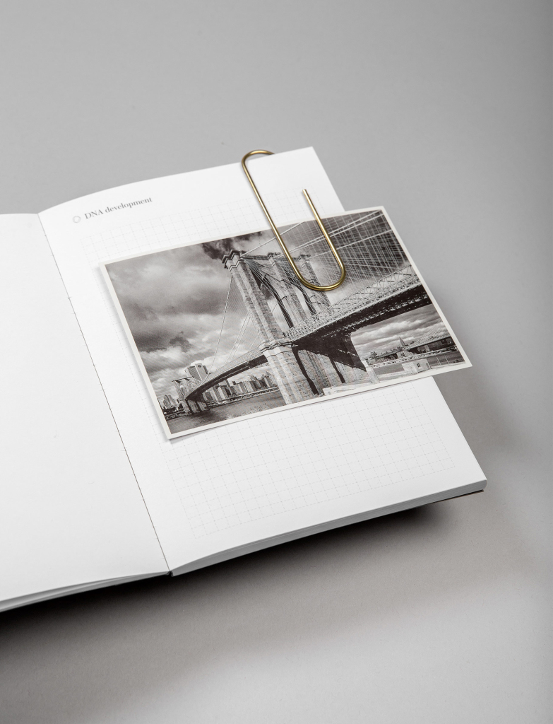 New Brand Identity for DNA Development by Face — BP&O